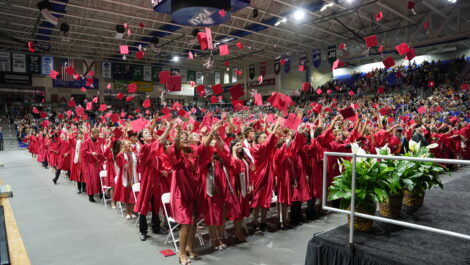 article image - DSC05616